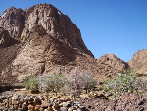 Rock Climbing at St Katherine