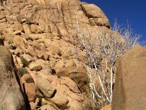 Best Rock Climbing