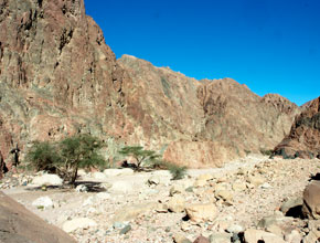 Rock Climbing at Wadi Gnai